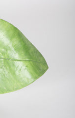 Mary Kirk Kelly Signed Ceramic Banana Leaf Tray