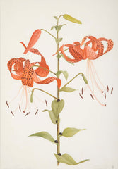Pair of Original Watercolors by James L. Sain    Priced Individually