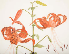 Pair of Original Watercolors by James L. Sain    Priced Individually