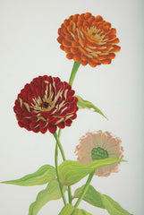 Pair of Original Watercolors by James L. Sain    Priced Individually