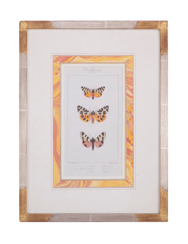Set of Four Freres Paquet Hand Colored Engravings of Butterflies