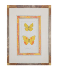 Set of Four Freres Paquet Hand Colored Engravings of Butterflies