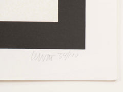 A Screenprint by Sol Lewitt from the Portfolio "Four x Four x Four"