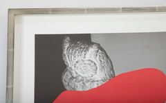 John Baldessari in Collaboration with Among Others Kaws, Ed Ruscha and Ai Weiei