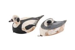 Pair of Old Squaw Decoys