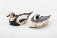 Pair of Long-tailed Duck Decoys