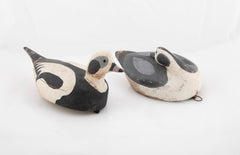 Pair of Long-tailed Duck Decoys