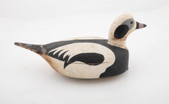 Pair of Long-tailed Duck Decoys