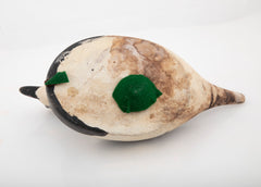 Pair of Old Squaw Decoys