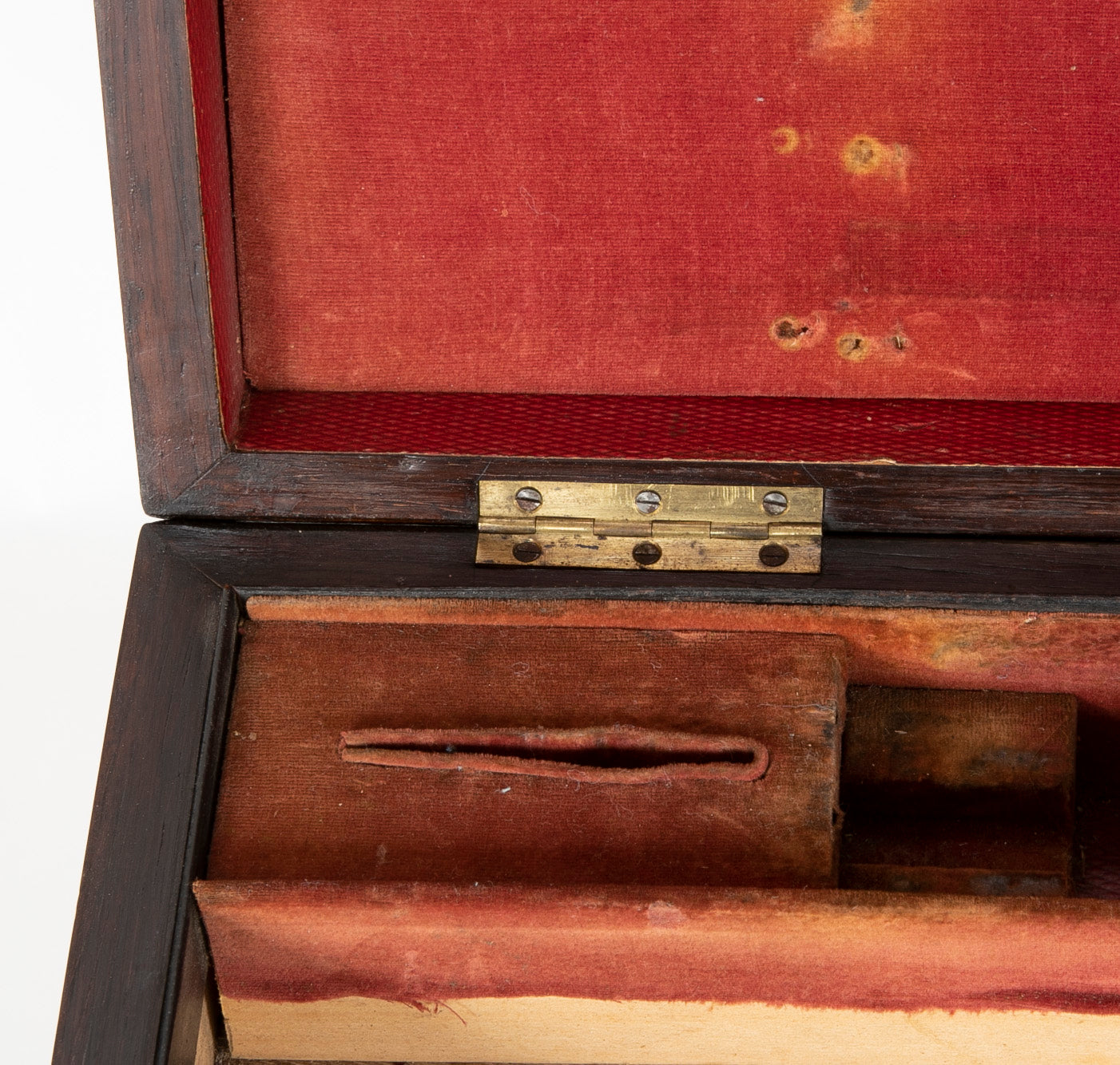 English Regency Rosewood Gun Box on Custom Stand