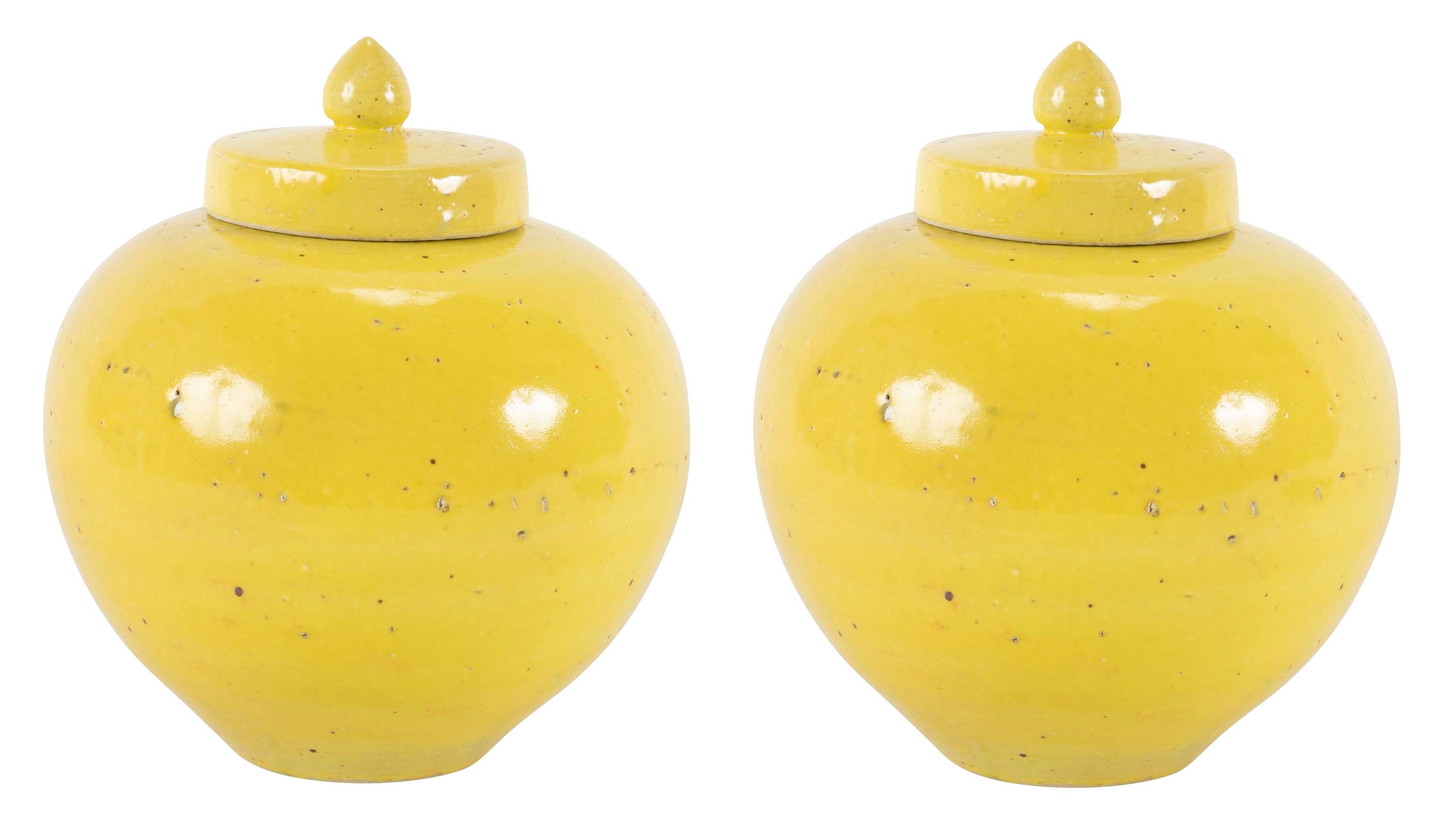 Pair of 19th Century Chinese Ginger Jars