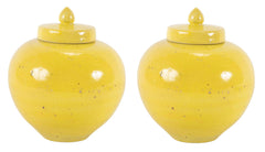 Pair of 19th Century Chinese Ginger Jars