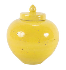 Pair of 19th Century Chinese Ginger Jars