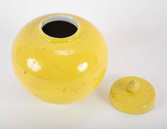 Pair of 19th Century Chinese Ginger Jars