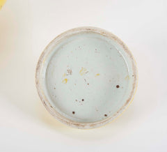 Pair of 19th Century Chinese Ginger Jars