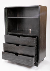 A Two Door Ebonized and Cerused Cabinet