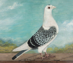 Unusual Collection of 3 Oil on Canvas Portraits of Racing Pigeons