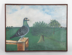 Unusual Collection of 3 Oil on Canvas Portraits of Racing Pigeons