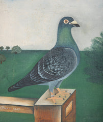 Unusual Collection of 3 Oil on Canvas Portraits of Racing Pigeons