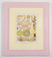 Set of Six Chromolithographs of Australia's Great Barrier Reef