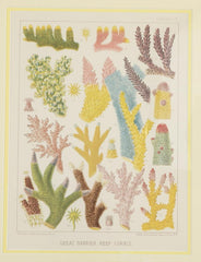 Set of Six Chromolithographs of Australia's Great Barrier Reef