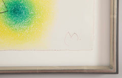 "Flux de L' Aimant" Drypoint & Color Aquatint by Joan Miro