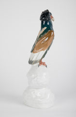 Meissen  Porcelain Model of  "Gaukler Adler"