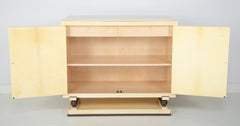 Mid-Century Goatskin Parchment Two Door Cabinet