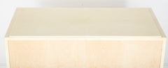 Mid-Century Goatskin Parchment Two Door Cabinet