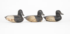 Set of 3 Bluebill Drake Decoy Rig Mates Attributed to Cassius Smith of Connecticut