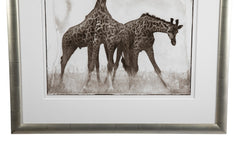 Suite of Three Photographs of Giraffes by Nick Brandt