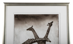 Suite of Three Photographs of Giraffes by Nick Brandt