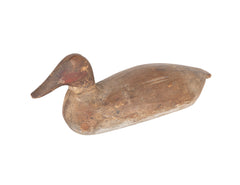 A Canvas Back Drake Decoy from The Eastern Shore, Maryland