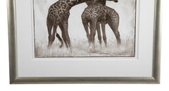 Suite of Three Photographs of Giraffes by Nick Brandt