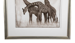 Suite of Three Photographs of Giraffes by Nick Brandt