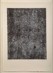 "Les Phenomes" Print by Jean du Buffet