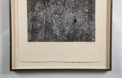 "Les Phenomes" Print by Jean du Buffet