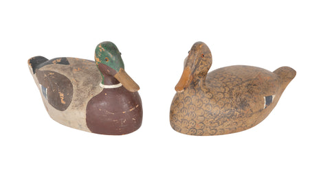 Pair of Mallard Decoy Ducks in Form of Hen & Drake Having Original Paint