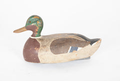 Pair of Mallard Decoy Ducks in Form of Hen & Drake Having Original Paint