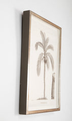 Ceroxylon Andicola Palm Print by Sellier