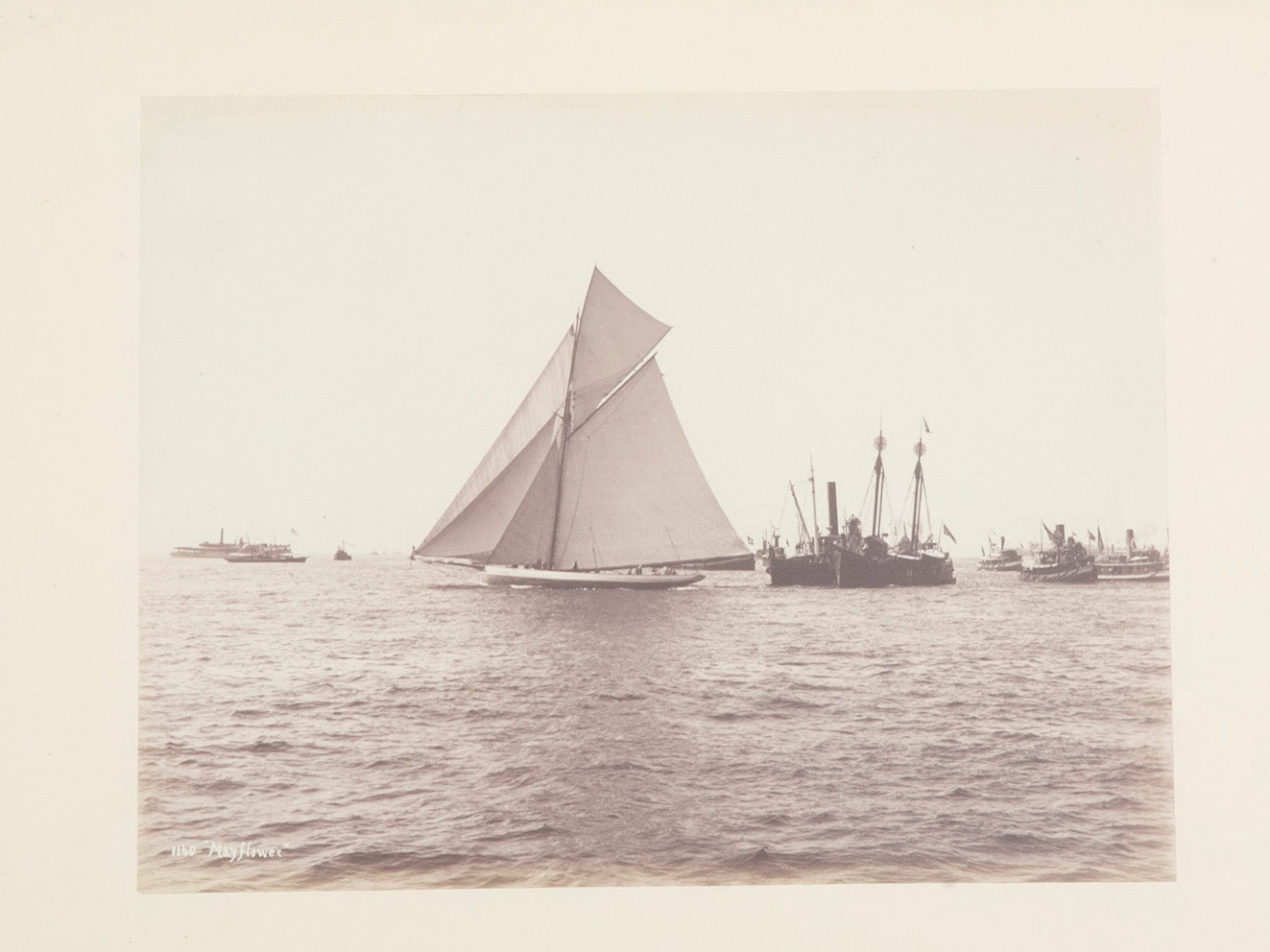 Original Nathaniel Stebbins Photograph "Mayflower" Winning America's Cup Race - September 1886