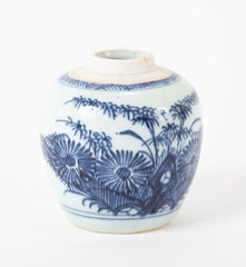 Blue and White Kangxi Jar