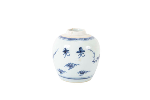 Blue and White Kangxi Jar