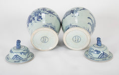 Pair of Chinese Porcelain Blue & White