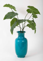 Turquoise Colored Kangxi Vase