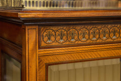 Edwardian Cabinet by Edwards & Roberts