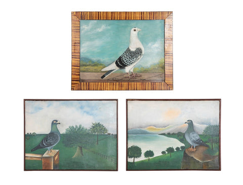 Unusual Collection of 3 Oil on Canvas Portraits of Racing Pigeons