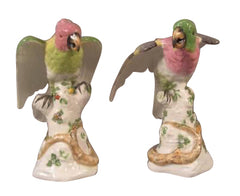 Paris Porcelain Parrots