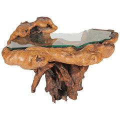 Impressive Ancient Chinese Scholar Root as Table