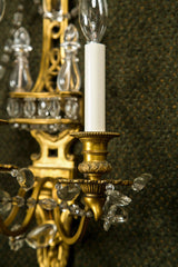 Pair of Bronze D'ore Bagues Sconces